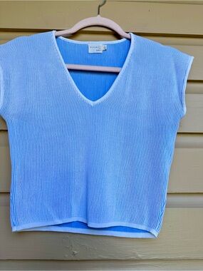 Light Blue Ribbed V-Neck Crop Top